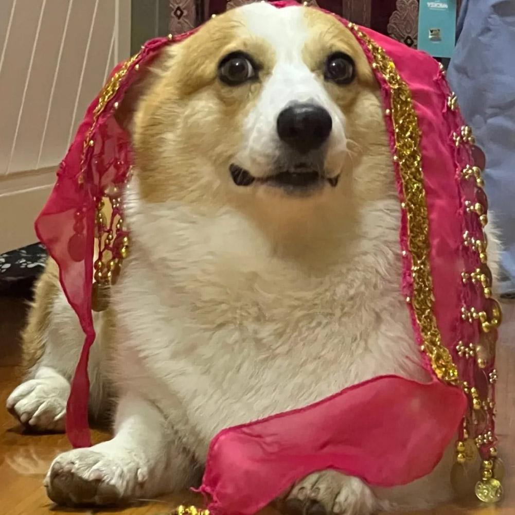 Dog Booty Shake Dance Booty To - Printed Wrap Skirt reseña y precio